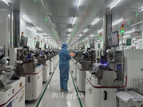 數(shù)字見證甜城內江 年產60億只產品，年入4億，營商環(huán)境為企業(yè)注入澎湃動能